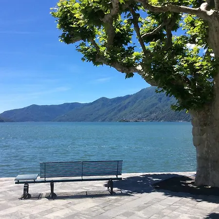 Asconita
